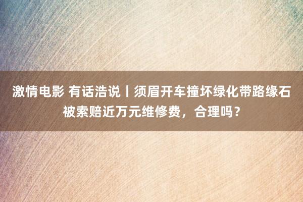 激情电影 有话浩说丨须眉开车撞坏绿化带路缘石被索赔近万元维修费，合理吗？
