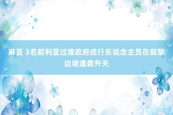 麻豆 3名叙利亚过渡政府戎行东说念主员在叙黎边境遭袭升天