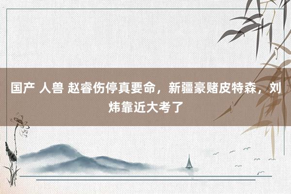 国产 人兽 赵睿伤停真要命，新疆豪赌皮特森，刘炜靠近大考了