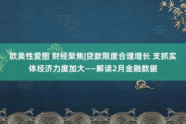 欧美性爱图 财经聚焦|贷款限度合理增长 支抓实体经济力度加大——解读2月金融数据