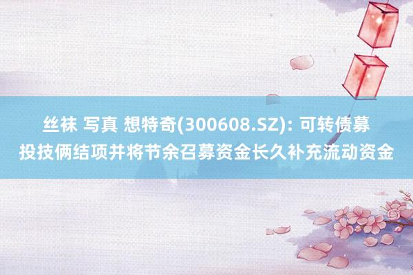 丝袜 写真 想特奇(300608.SZ): 可转债募投技俩结项并将节余召募资金长久补充流动资金