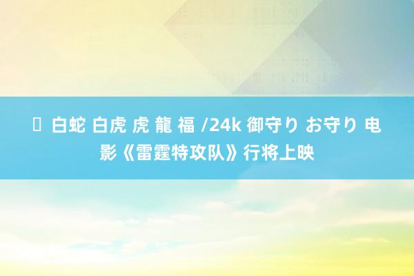 ✨白蛇 白虎 虎 龍 福 /24k 御守り お守り 电影《雷霆特攻队》行将上映