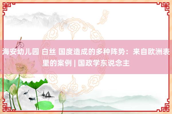 海安幼儿园 白丝 国度造成的多种阵势：来自欧洲表里的案例 | 国政学东说念主