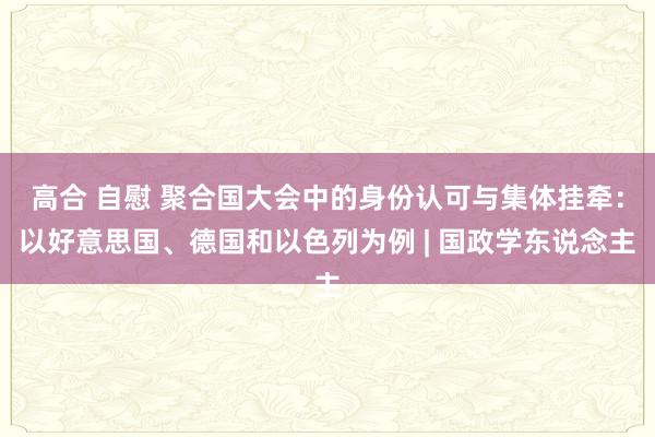 高合 自慰 聚合国大会中的身份认可与集体挂牵：以好意思国、德国和以色列为例 | 国政学东说念主