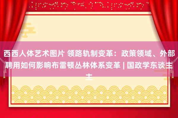 西西人体艺术图片 领路轨制变革：政策领域、外部聘用如何影响布雷顿丛林体系变革 | 国政学东谈主