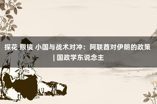 探花 眼镜 小国与战术对冲：阿联酋对伊朗的政策 | 国政学东说念主