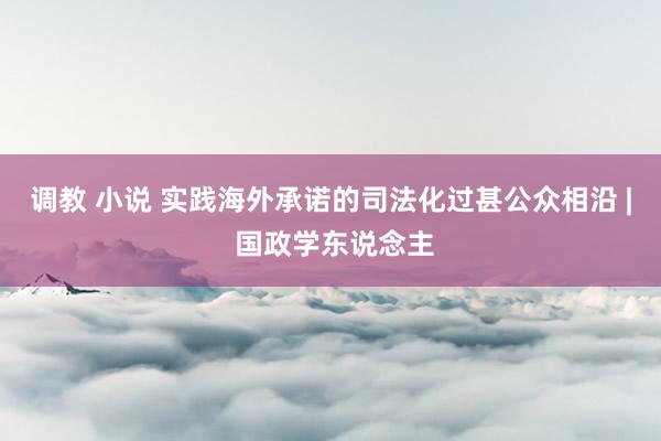 调教 小说 实践海外承诺的司法化过甚公众相沿 | 国政学东说念主