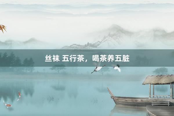丝袜 五行茶，喝茶养五脏