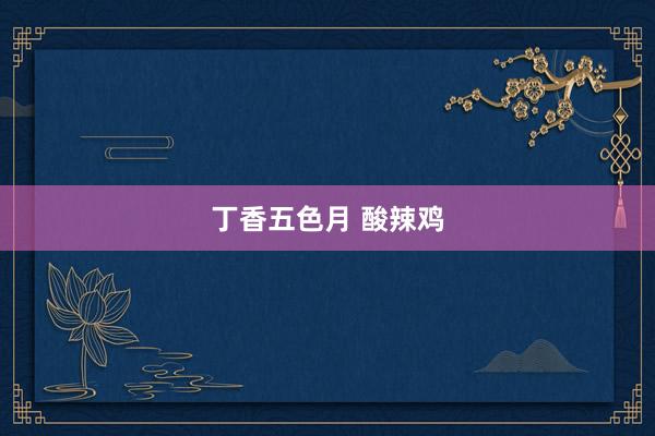 丁香五色月 酸辣鸡