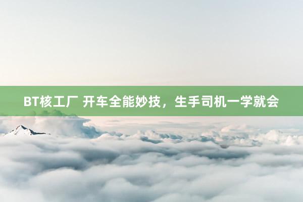 BT核工厂 开车全能妙技，生手司机一学就会